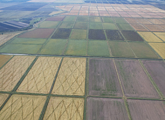 Комплексные мероприятия в сфере благоустройства меллиорации прилегающих территорий ФГБУ «Управление «Астраханмелиоводхоз»
